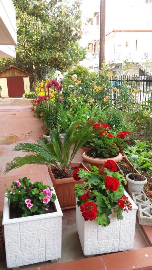 Sea View Apartments Aphrodite Leptokarya  Dış mekan fotoğraf
