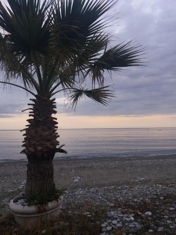 Sea View Apartments Aphrodite Leptokarya  Dış mekan fotoğraf
