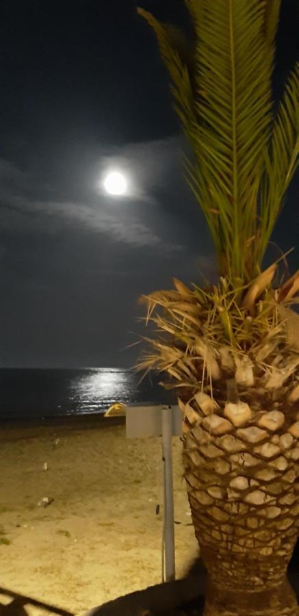 Sea View Apartments Aphrodite Leptokarya  Dış mekan fotoğraf